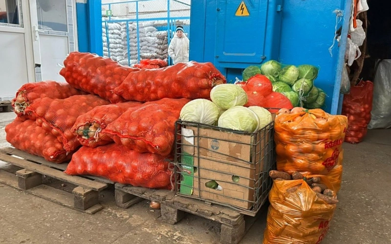 картофель, капуста, лук, овощи