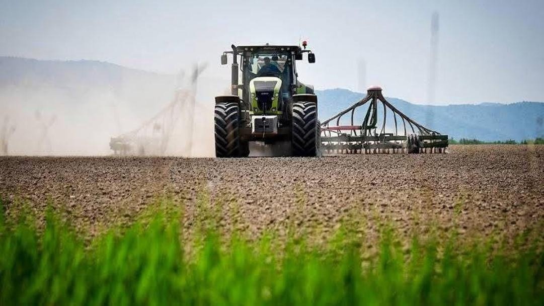 11 өңірде ауыл шаруашылығы дақылдарын сақтандыру бағдарламасы жүзеге асырылып жатыр