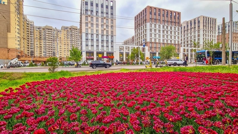 Almaty welcomes spring drowned in flowers