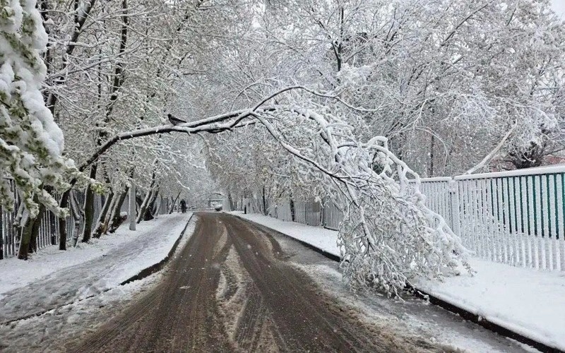 New snowfall record set in Moscow 