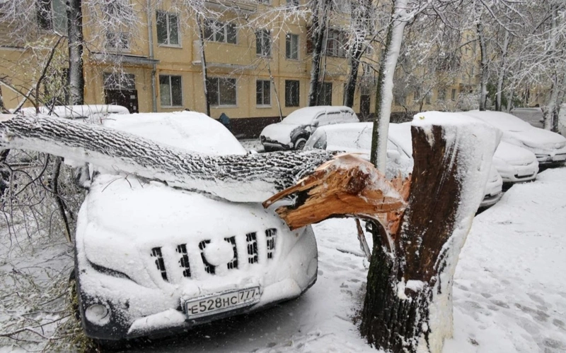 New snowfall record set in Moscow 