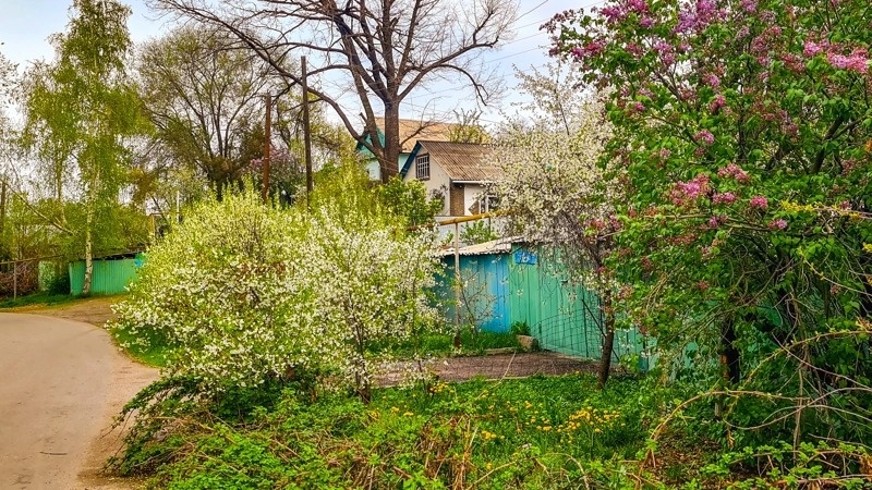 Almaty welcomes spring drowned in flowers