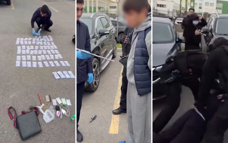 Almaty oblysynda kisi bopsalap, kóligin tartyp alǵandar ustaldy