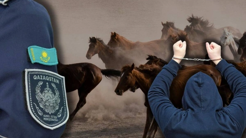 Túrkistan oblysynda 1000 bas maldy zańsyz shekara asyrmaq bolǵan top ustaldy
