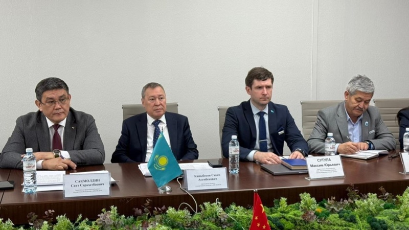 Казахстан и&nbsp;Китай будут совместно бороться с&nbsp;сельхозвредителями и&nbsp;саранчой