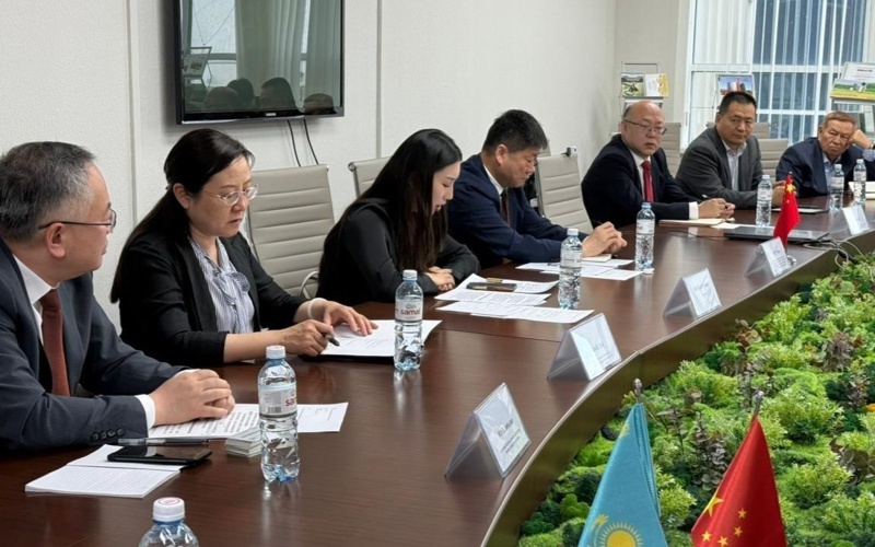 Казахстан и&nbsp;Китай будут совместно бороться с&nbsp;сельхозвредителями и&nbsp;саранчой