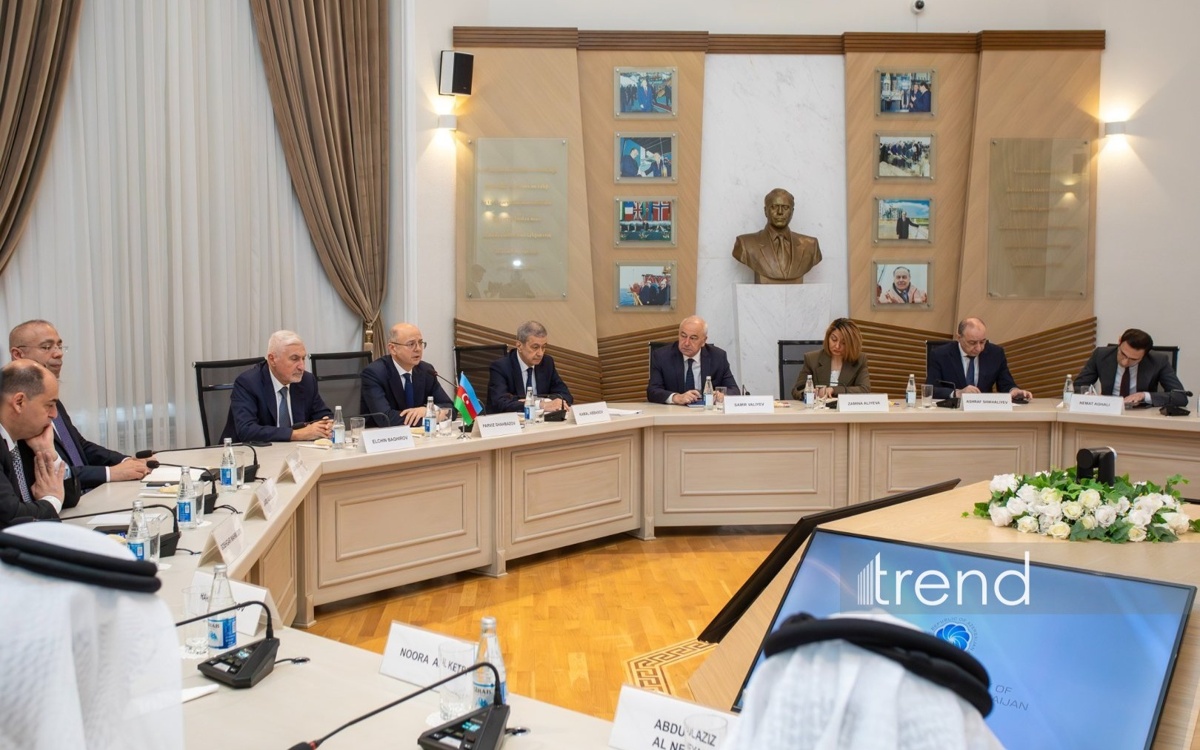 Azerbaijan and UAE discuss development of energy cooperation