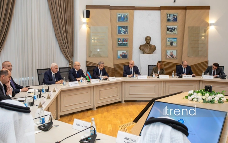 Azerbaijan and UAE discuss development of energy cooperation 