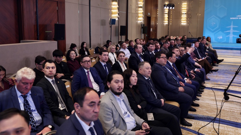 Партия AMANAT провела встречу с&nbsp;представителями энергетической отрасли