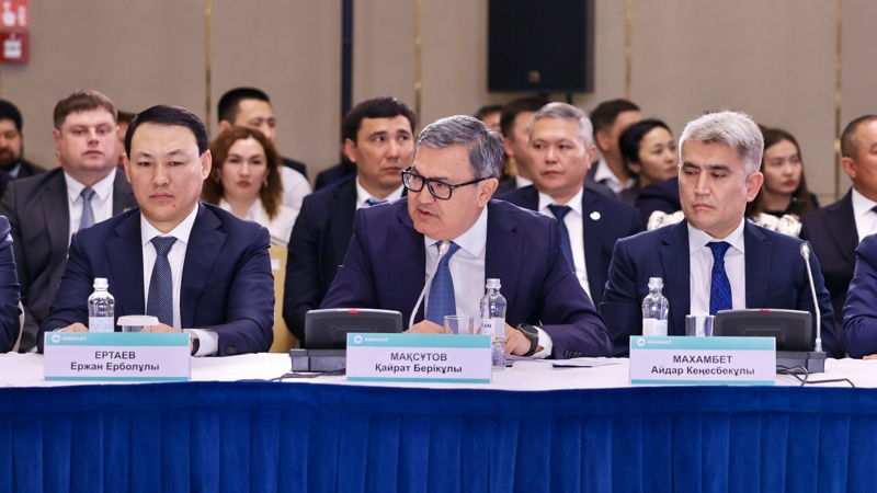Партия AMANAT провела встречу с&nbsp;представителями энергетической отрасли