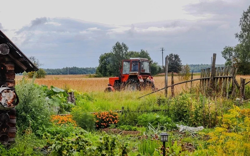 Survey reveals economic strength of Kazakh households