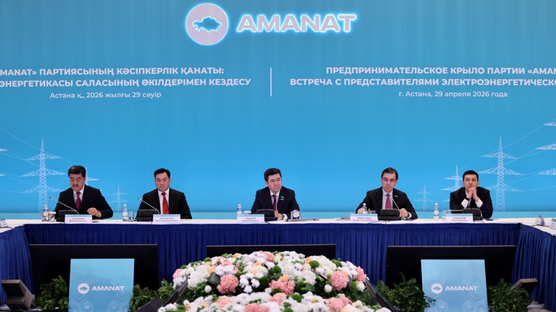 Партия AMANAT провела встречу с&nbsp;представителями энергетической отрасли