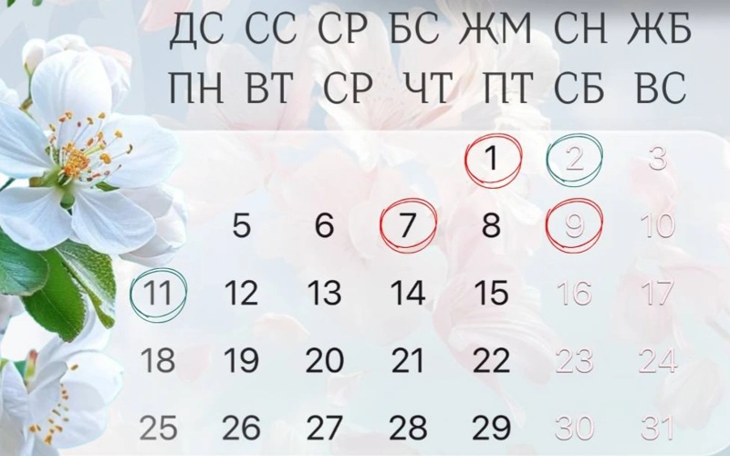 ЦОНы не будут работать в Казахстане 1, 7 и 9 мая