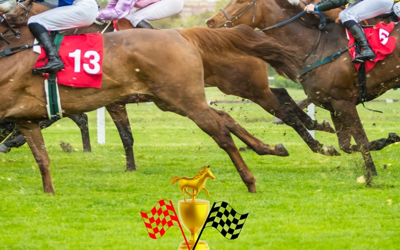 Kentucky Derby 2026, horses, racing, sport, derby