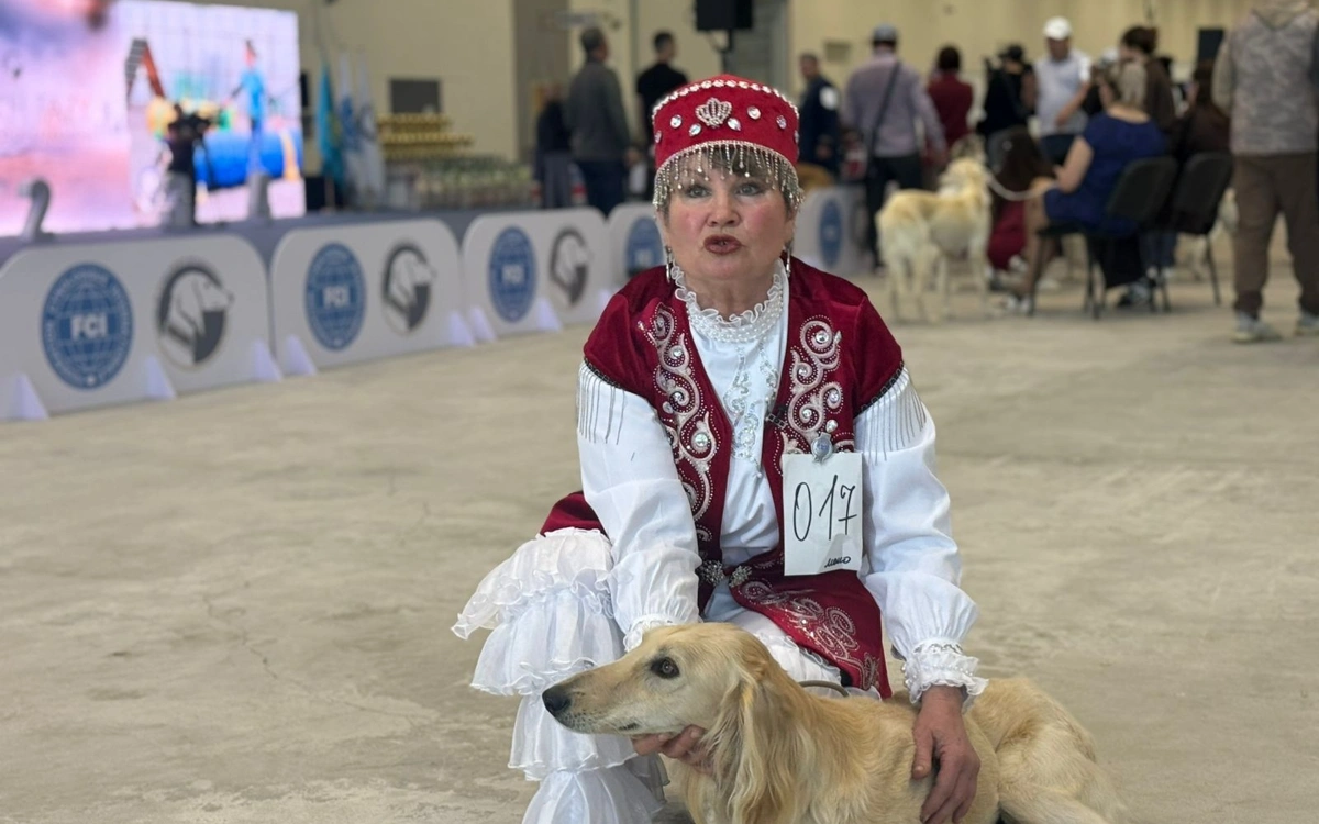 Численность тазы в Казахстане увеличилась в четыре раза за два года