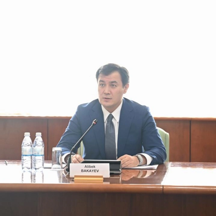 副外长巴卡耶夫会见日本国会代表团 深化多领域合作方向