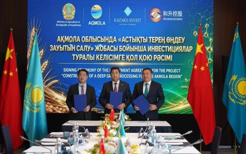 哈中企业签署合作协议 年加工100万吨小麦深加工项目落地