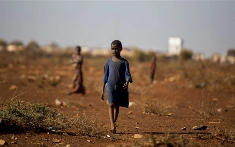 Более 6,5 миллиона человек сталкиваются с серьезной проблемой нехватки продовольствия в Сомали 