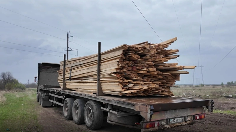 СҚО-да Ресейден әкелінген тақтайдан қауіпті карантиндік зиянкес табылды