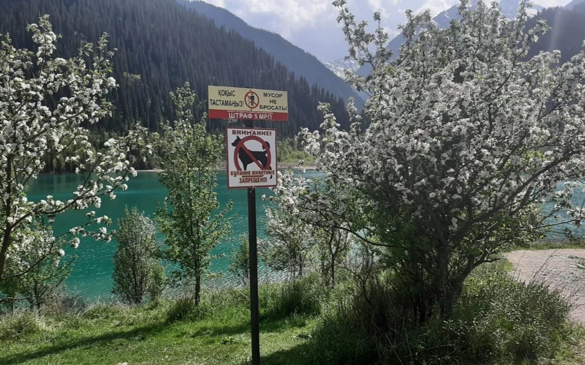 Плотину на озере Иссык вернут в госсобственность