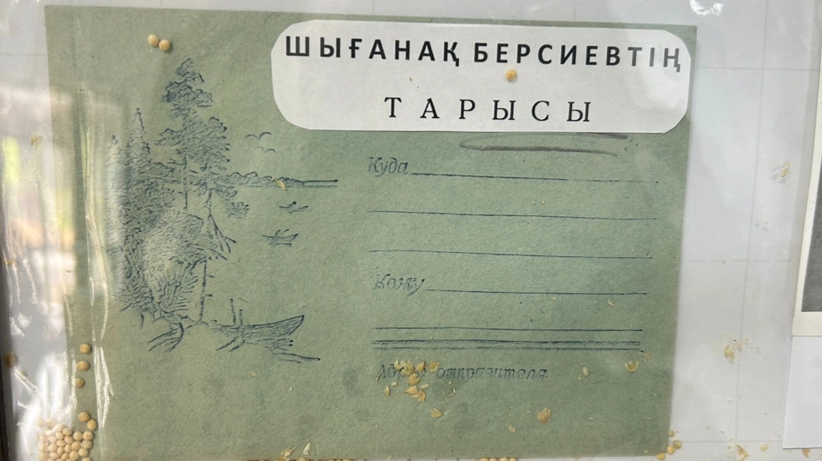 Ақ тарының атасы Шығанақ Берсиев майдан даласына қалай көмектесті