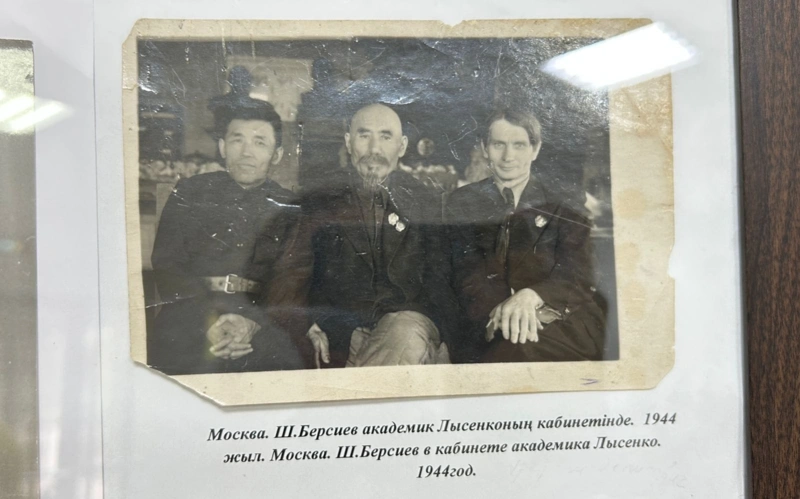Ақ тарының атасы Шығанақ Берсиев майдан даласына қалай көмектесті