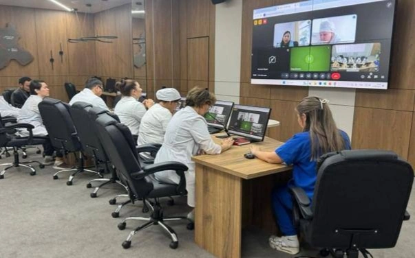 Денсаулық сақтау министрлігі телемедициналық қызметтерді дамытуға жаңа стандарттар енгізді