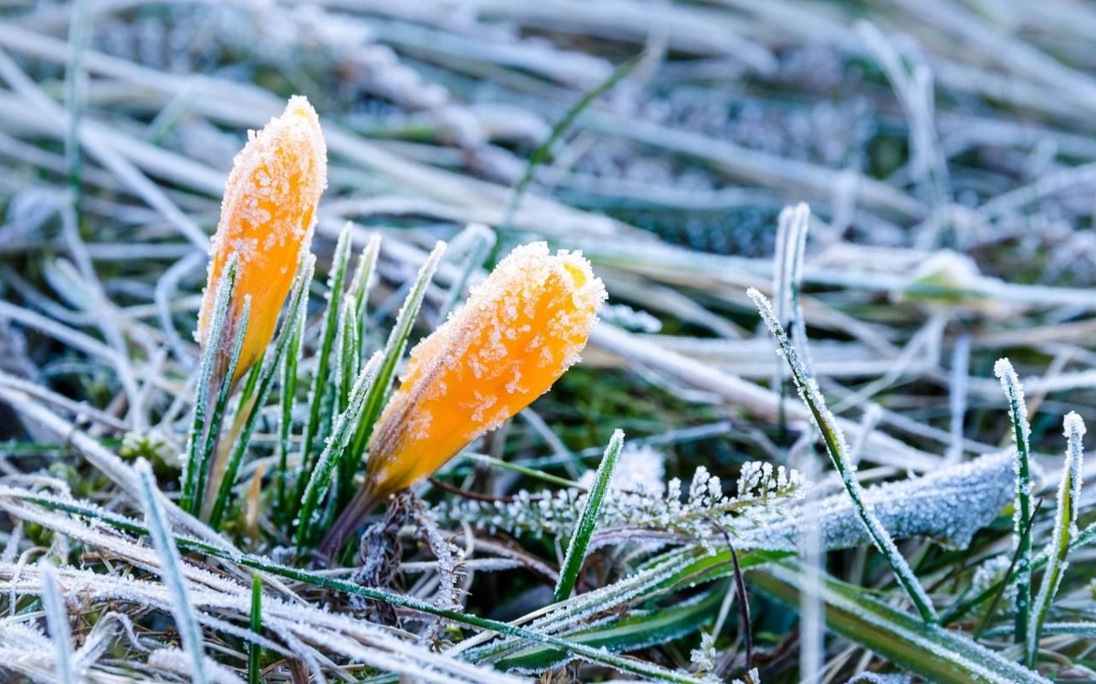 Kazakhstan to brace for cold spell on May 12-14