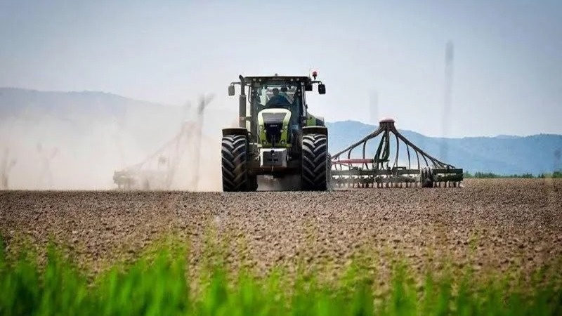 Central Asia eyes organic soybean cultivation with Brazil’s involvement