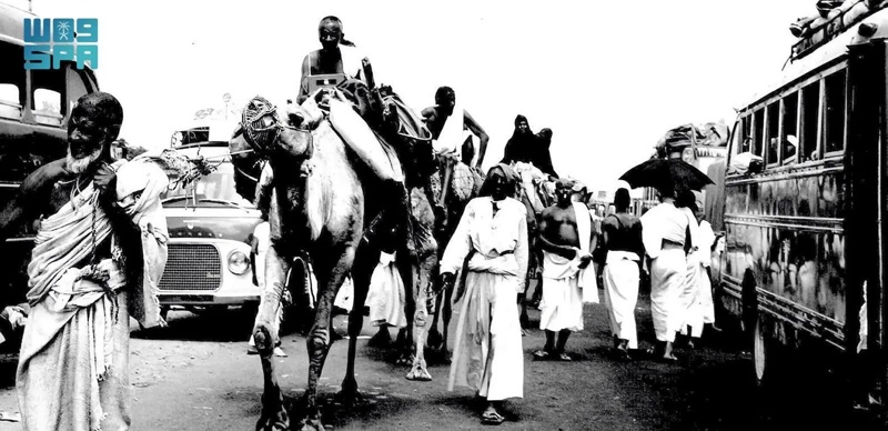 Evolution of Hajj transportation: From caravans to AI-powered networks Evolution of Hajj transportation: From caravans to AI-powered networks