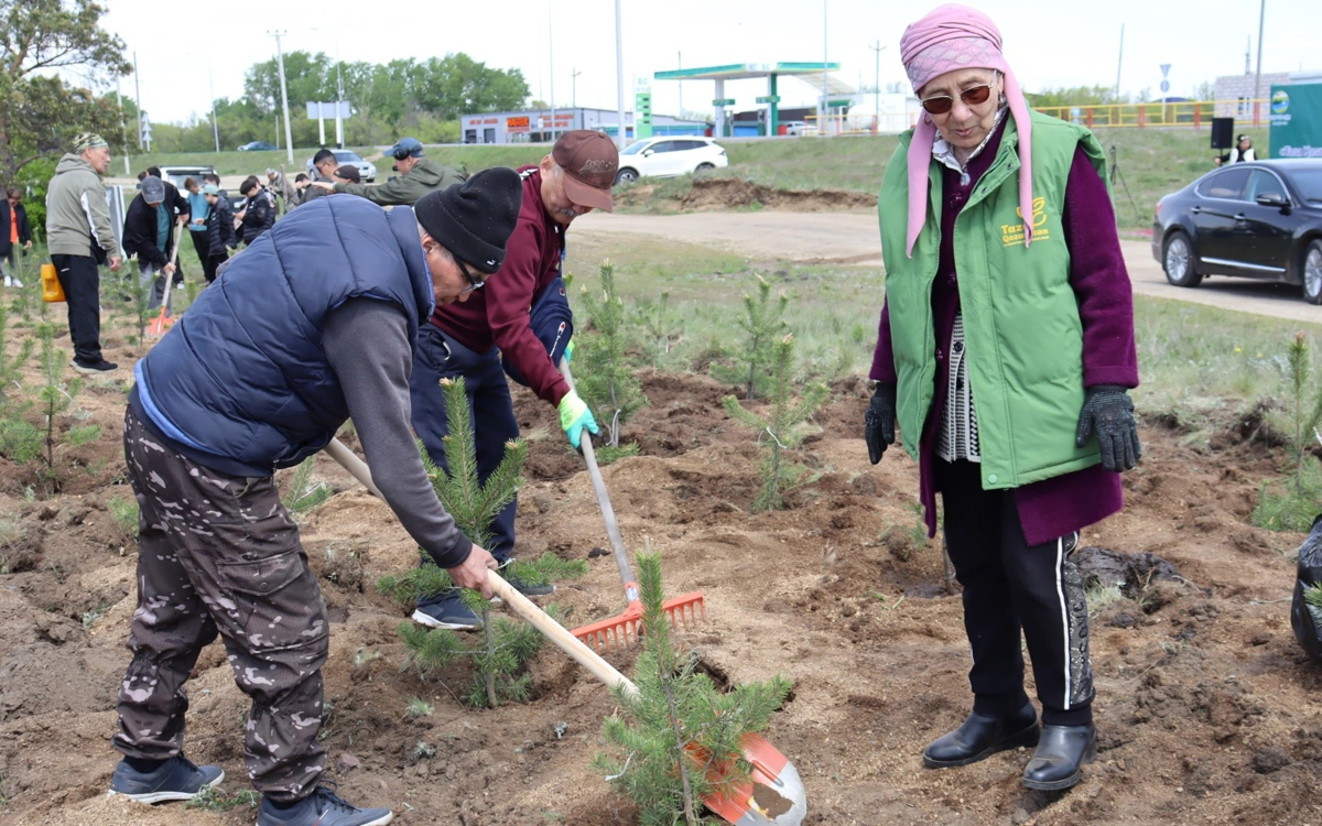 Aqmola oblysynda &laquo;Taza Qazaqstan&raquo; aktsııasy aıasynda 100-den astam aǵash ekti