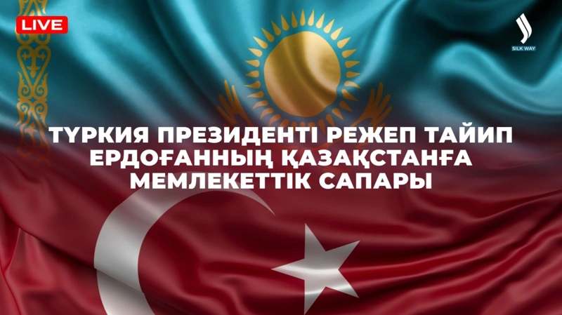 Ердоғанның мемлекеттік сапары