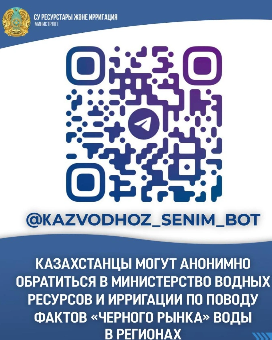 Чат-бот