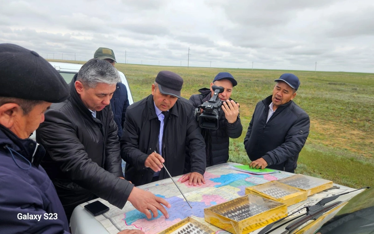 Шегірткеге қарсы күрес шаралары қайткенде тиімді болады