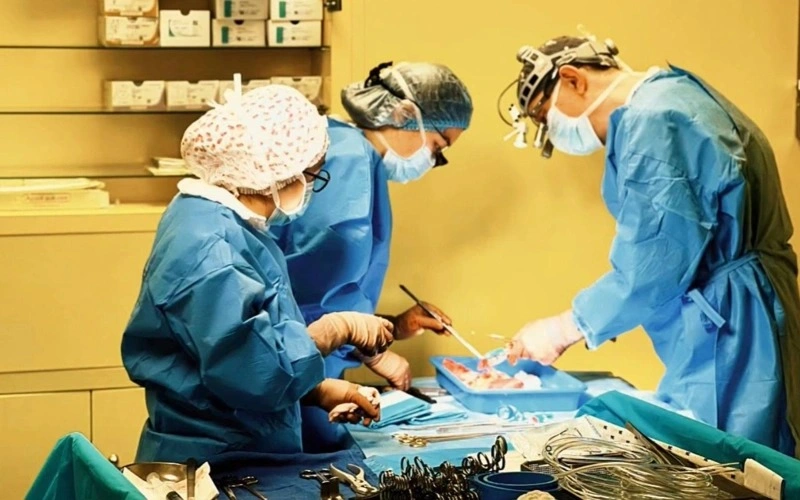 Kazakhstan performs 77 organ transplants in three months