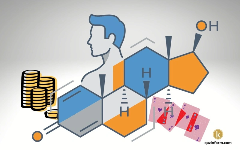 New study challenges testosterone myth