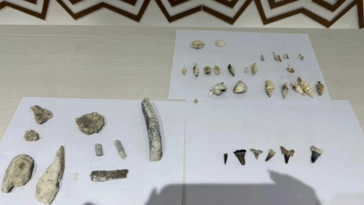 From ocean to desert: 40-million-year-old shark teeth reveal Mangistau’s marine past