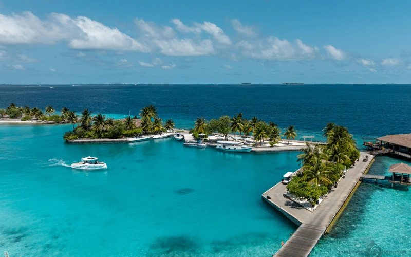 5 Italian nationals die in diving incident in Maldives 