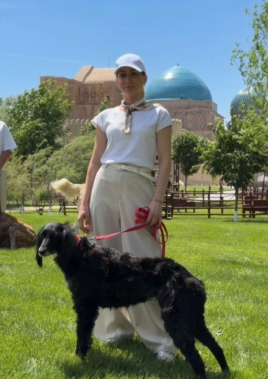 Purebred dog exhibition held in Turkistan