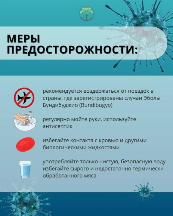 Минздрав обратился к казахстанцам из-за лихорадки Эбола в странах Африки
