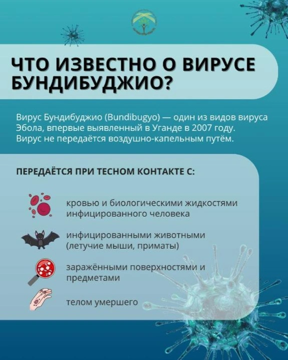 Минздрав обратился к казахстанцам из-за лихорадки Эбола в странах Африки