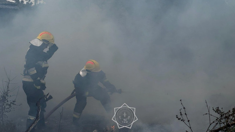 ТЖМ терек мамығы өрт қаупін күшейтетінін ескертті