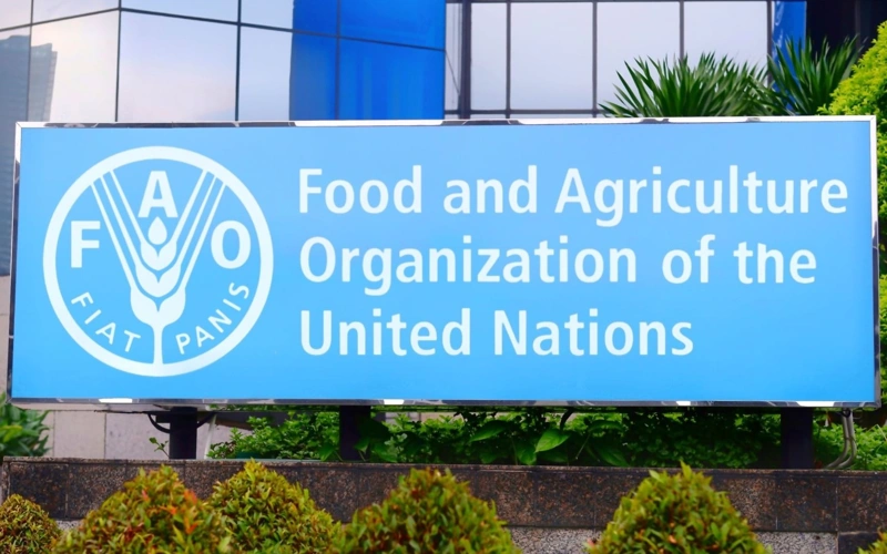 FAO warns of global agrifood shock