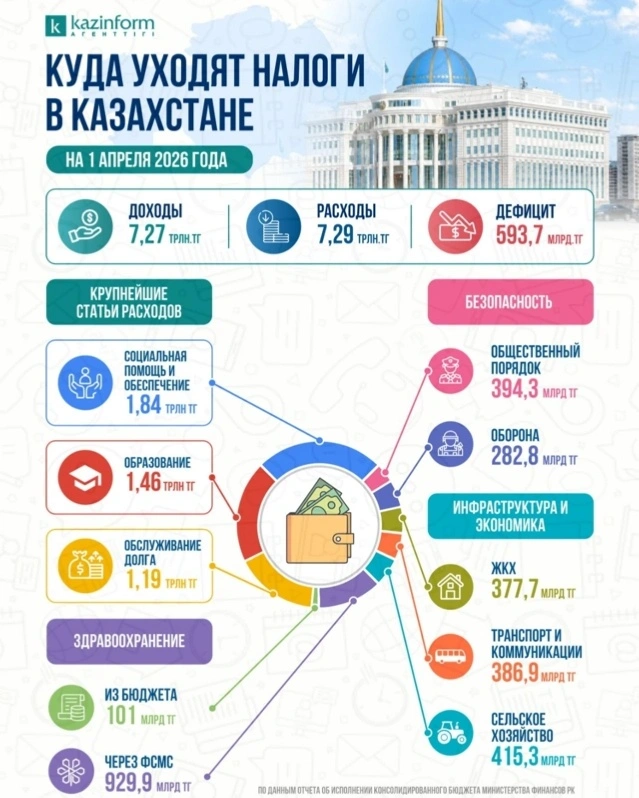 инфографика