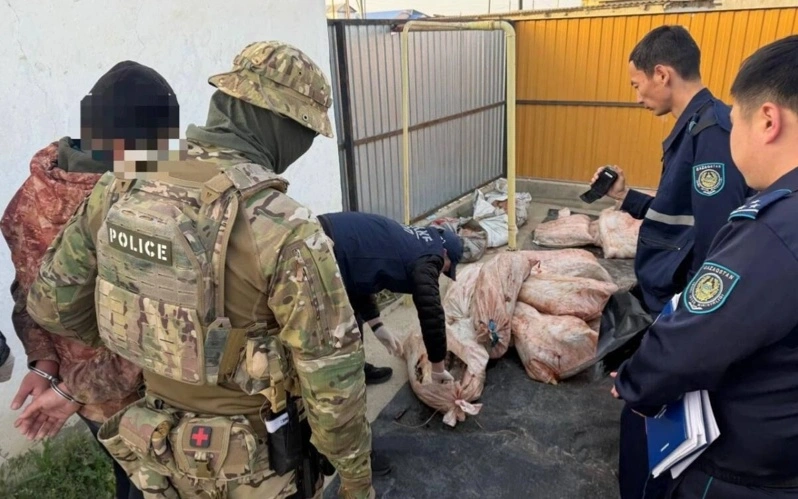 Атырау облысында заңсыз айналымнан 4 тоннадан астам балық өнімі тәркіленді