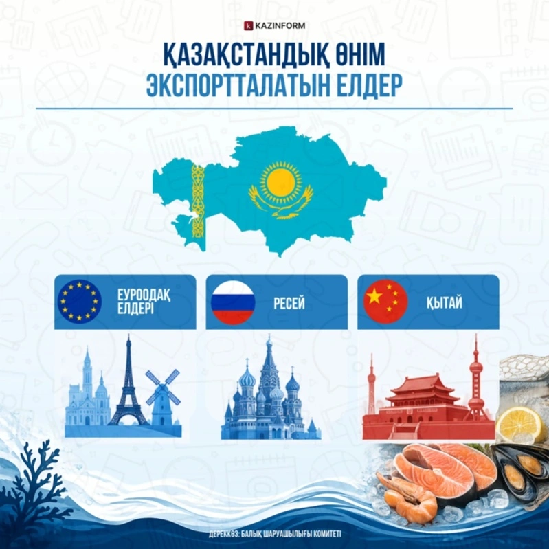 инфографика