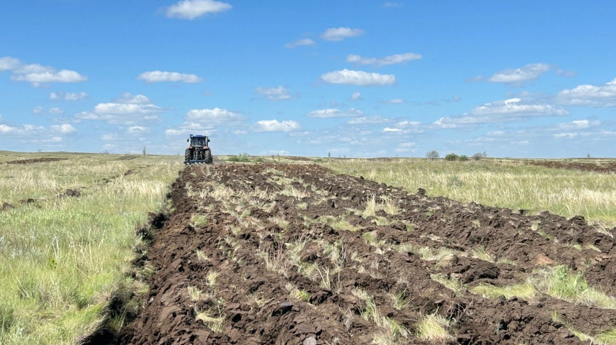 Ақтөбедегі орманшылардың бір күні
