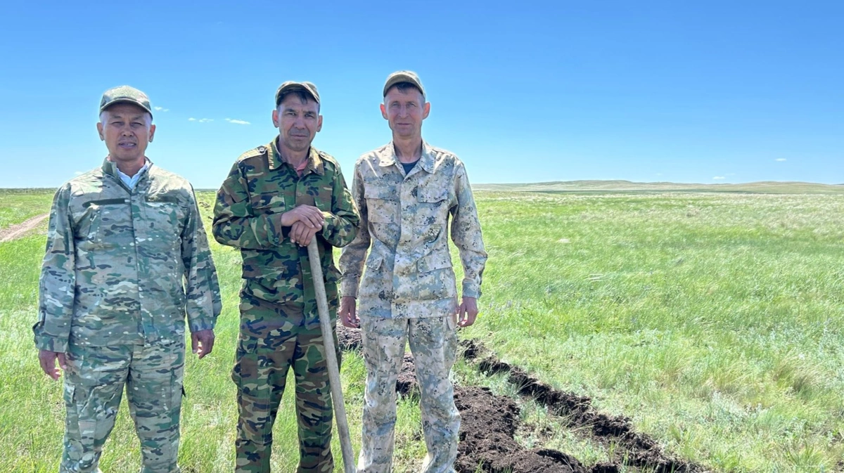 Ақтөбедегі орманшылардың бір күні