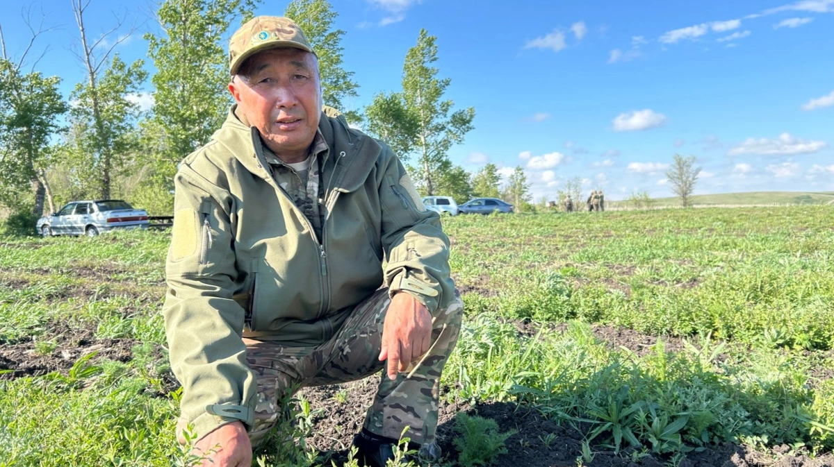 Ақтөбедегі орманшылардың бір күні