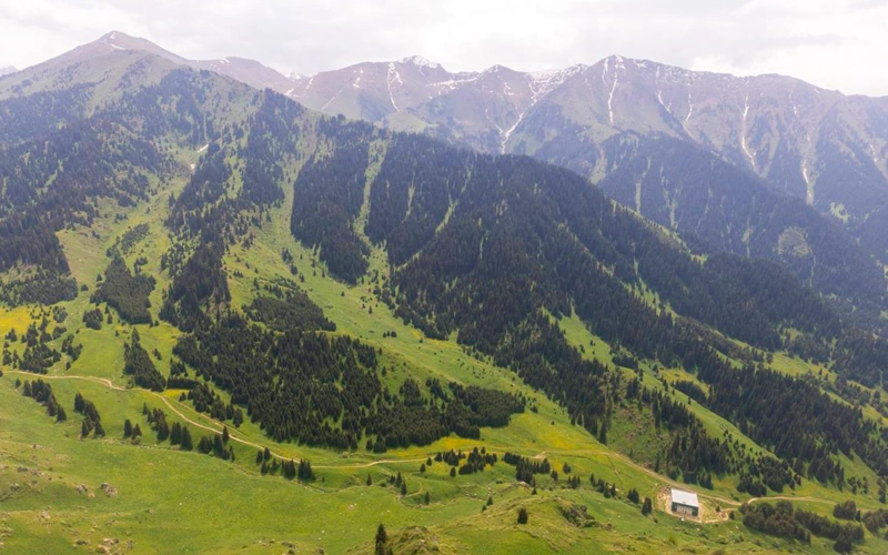 Алматы таулары